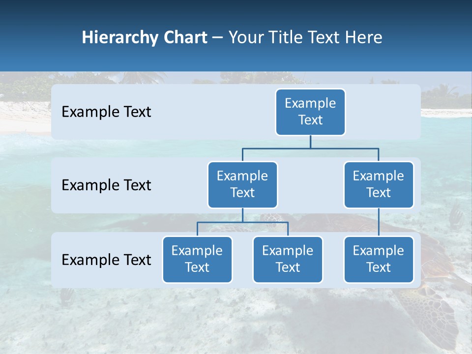 Turtle Red Coastline PowerPoint Template