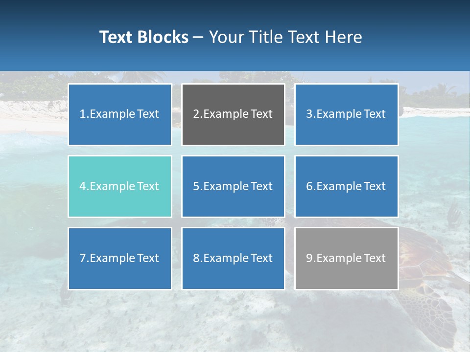 Turtle Red Coastline PowerPoint Template