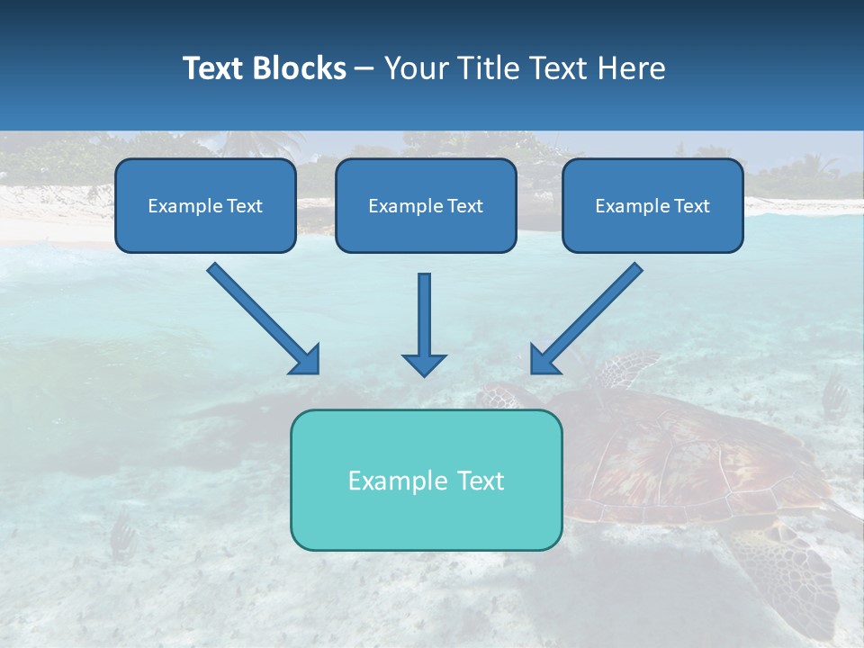 Turtle Red Coastline PowerPoint Template