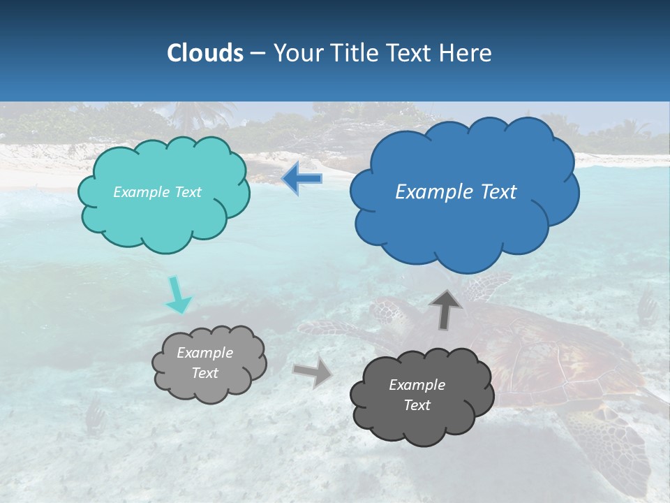 Turtle Red Coastline PowerPoint Template