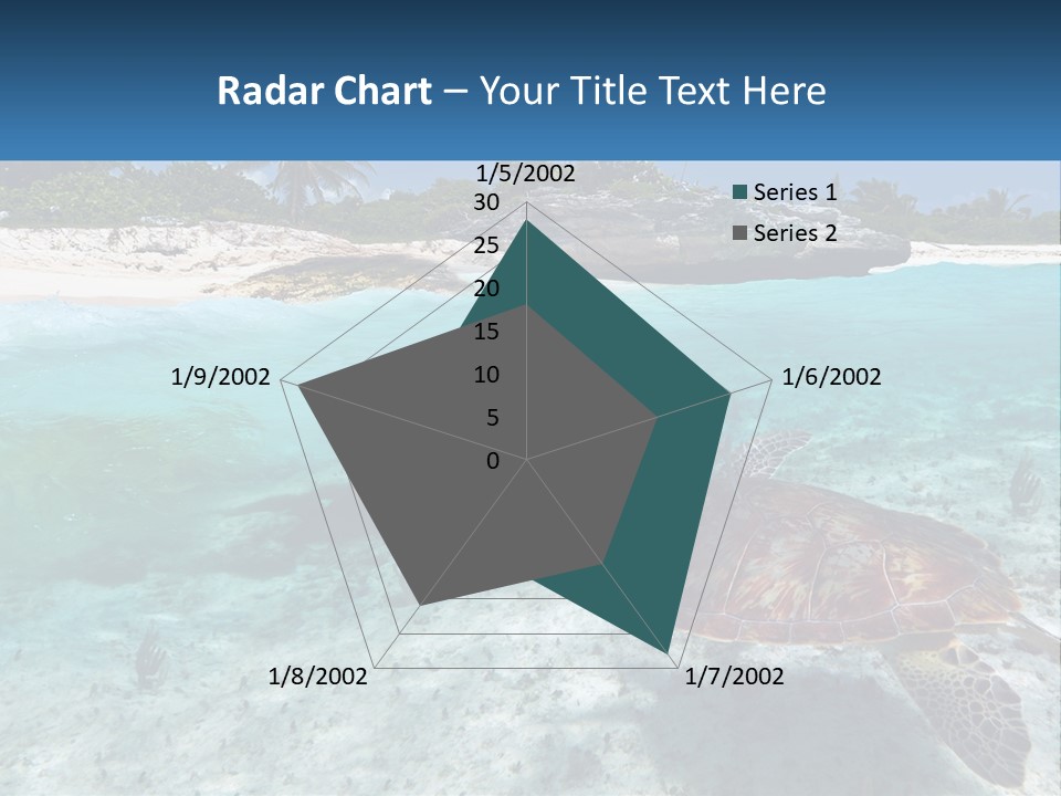 Turtle Red Coastline PowerPoint Template