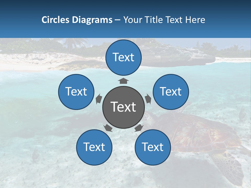Turtle Red Coastline PowerPoint Template