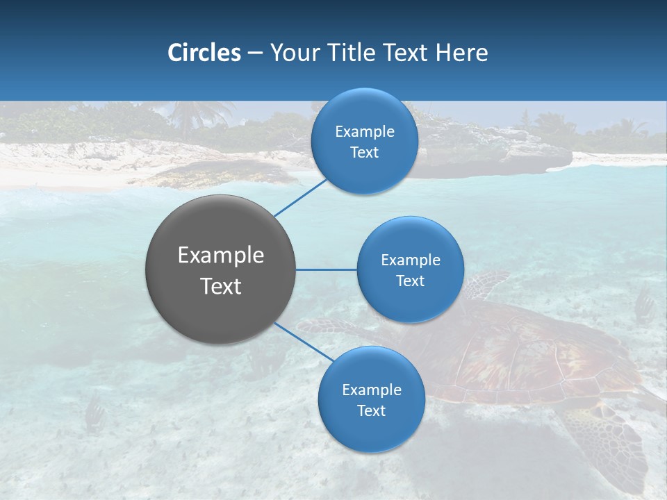 Turtle Red Coastline PowerPoint Template