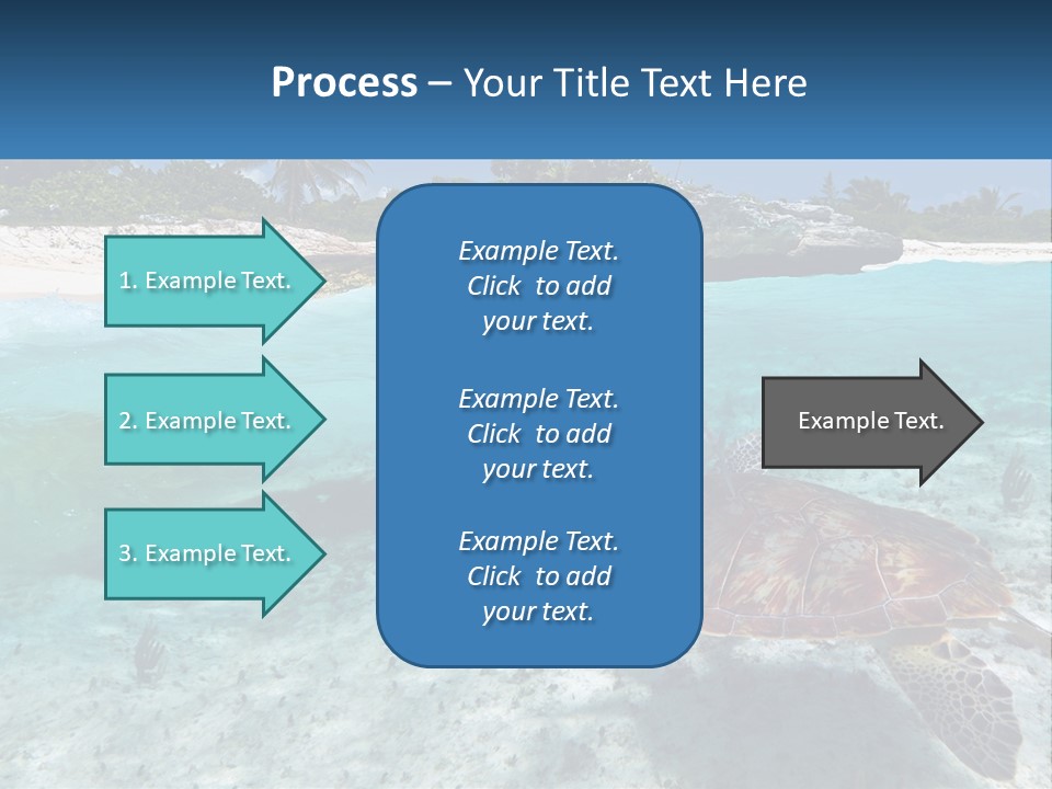 Turtle Red Coastline PowerPoint Template