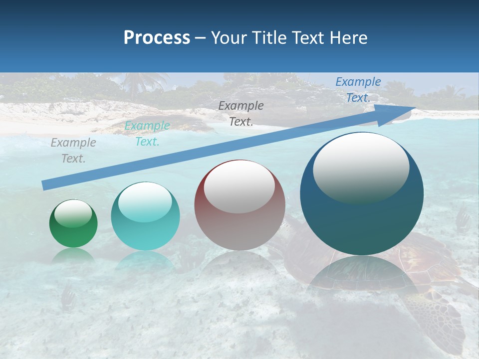 Turtle Red Coastline PowerPoint Template