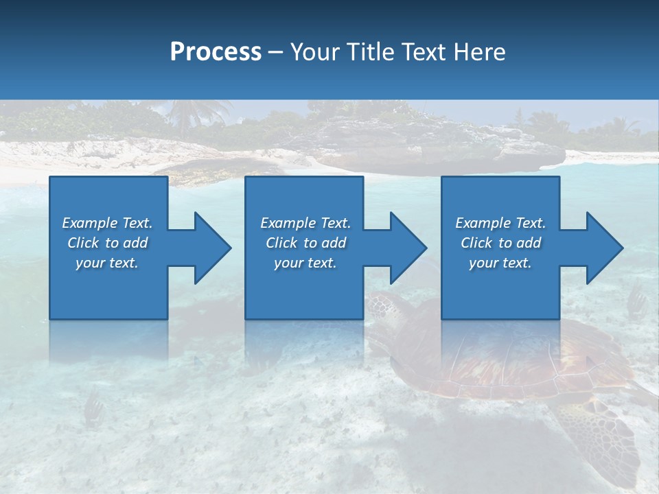 Turtle Red Coastline PowerPoint Template