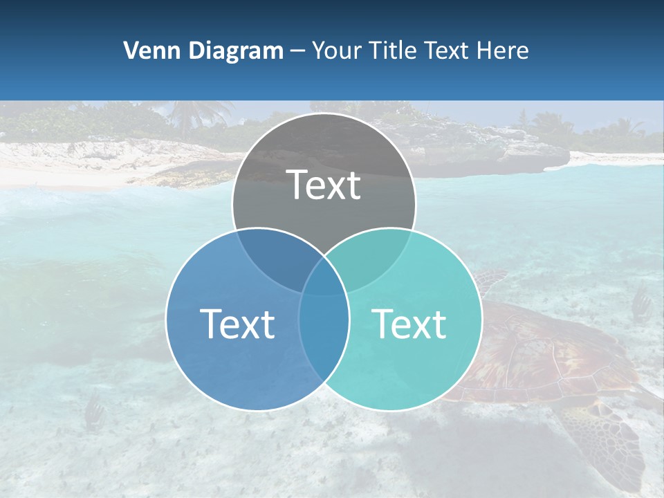 Turtle Red Coastline PowerPoint Template