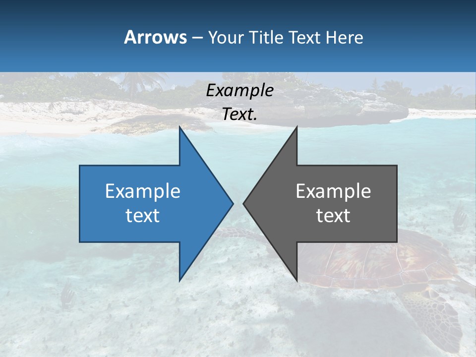 Turtle Red Coastline PowerPoint Template