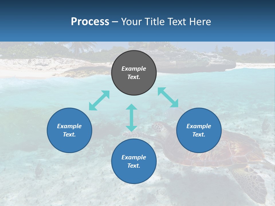 Turtle Red Coastline PowerPoint Template