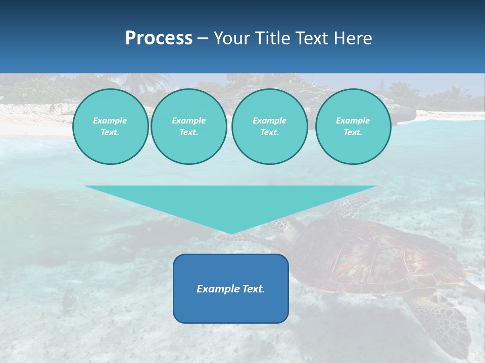 Turtle Red Coastline PowerPoint Template