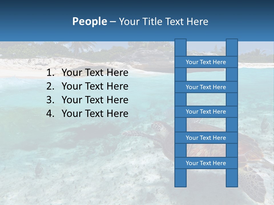 Turtle Red Coastline PowerPoint Template