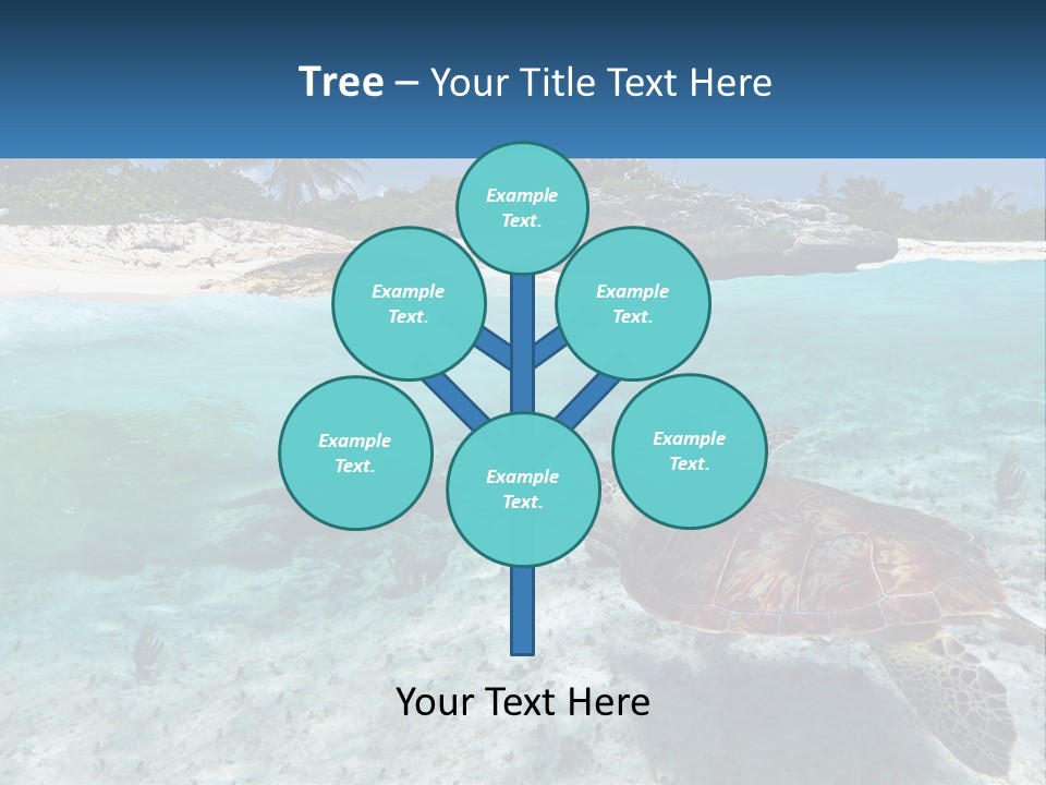 Turtle Red Coastline PowerPoint Template