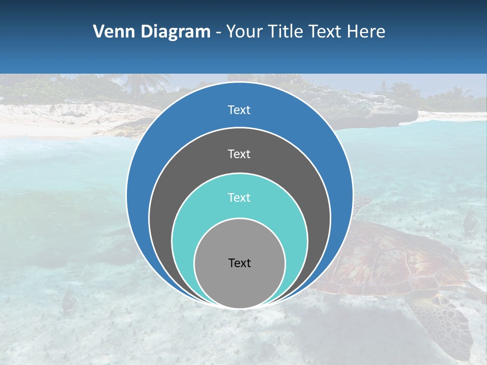 Turtle Red Coastline PowerPoint Template