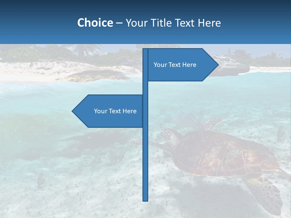 Turtle Red Coastline PowerPoint Template