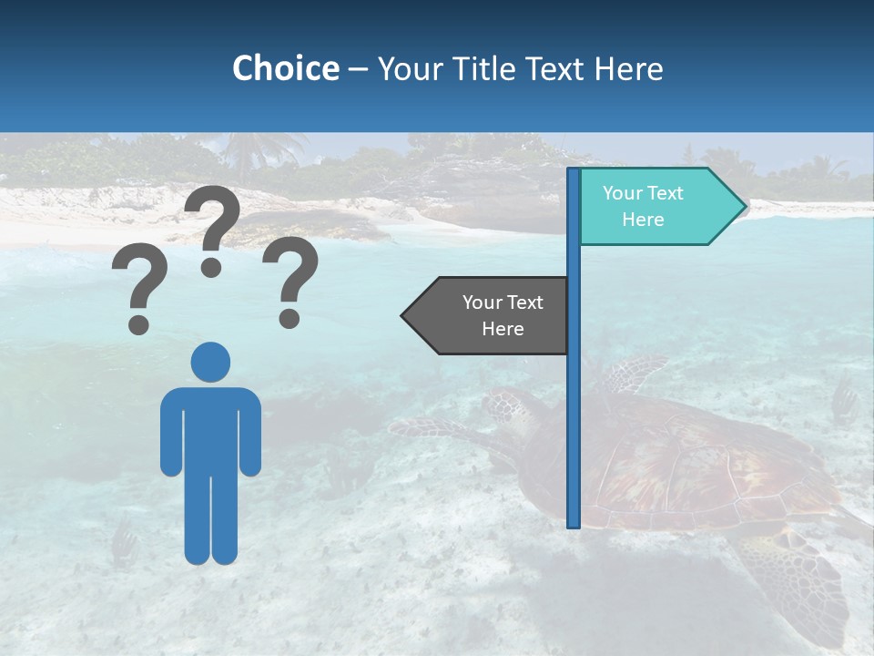 Turtle Red Coastline PowerPoint Template