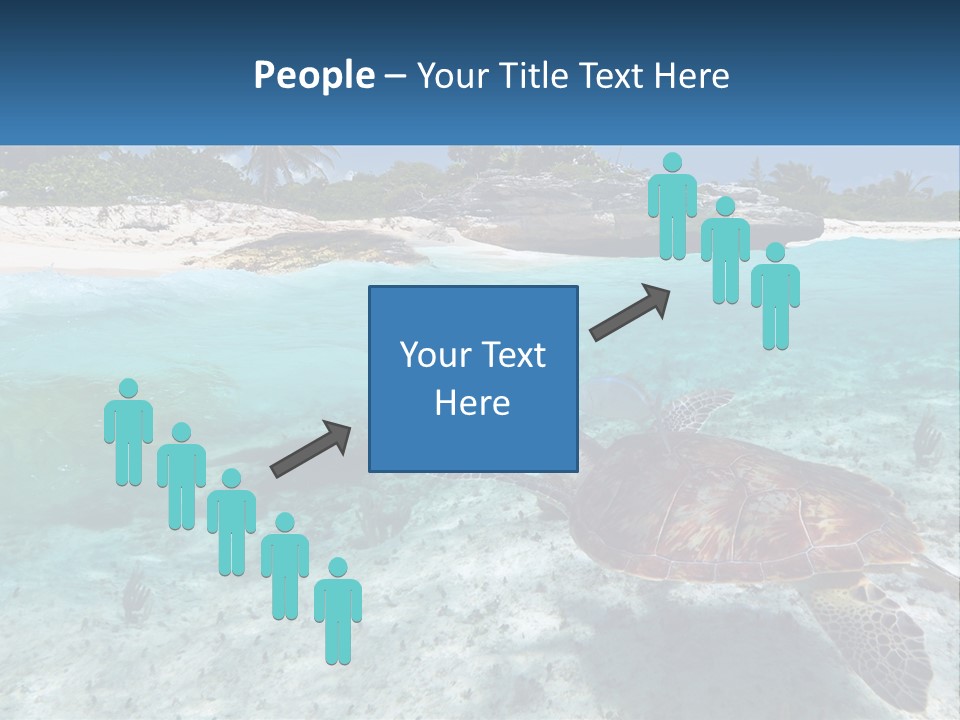 Turtle Red Coastline PowerPoint Template