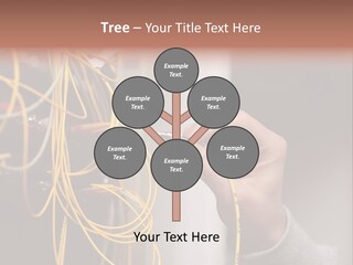 Network Connection Expertise PowerPoint Template