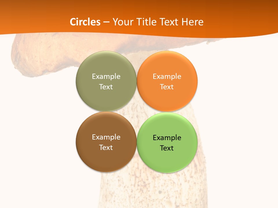 Leaf Red Nobody PowerPoint Template