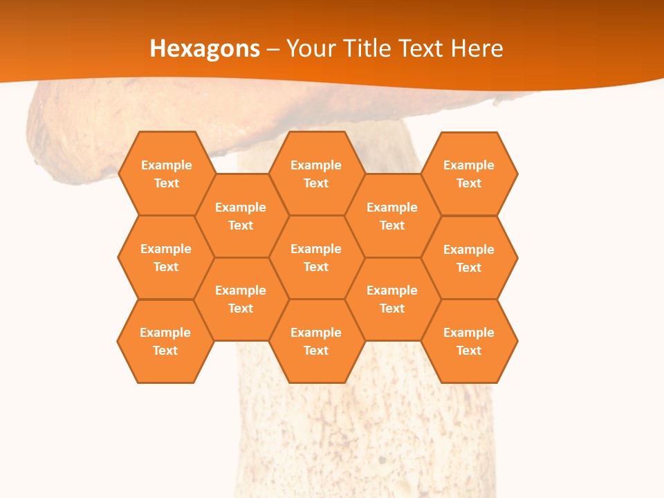 Leaf Red Nobody PowerPoint Template