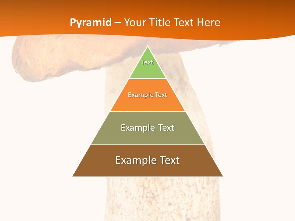 Leaf Red Nobody PowerPoint Template