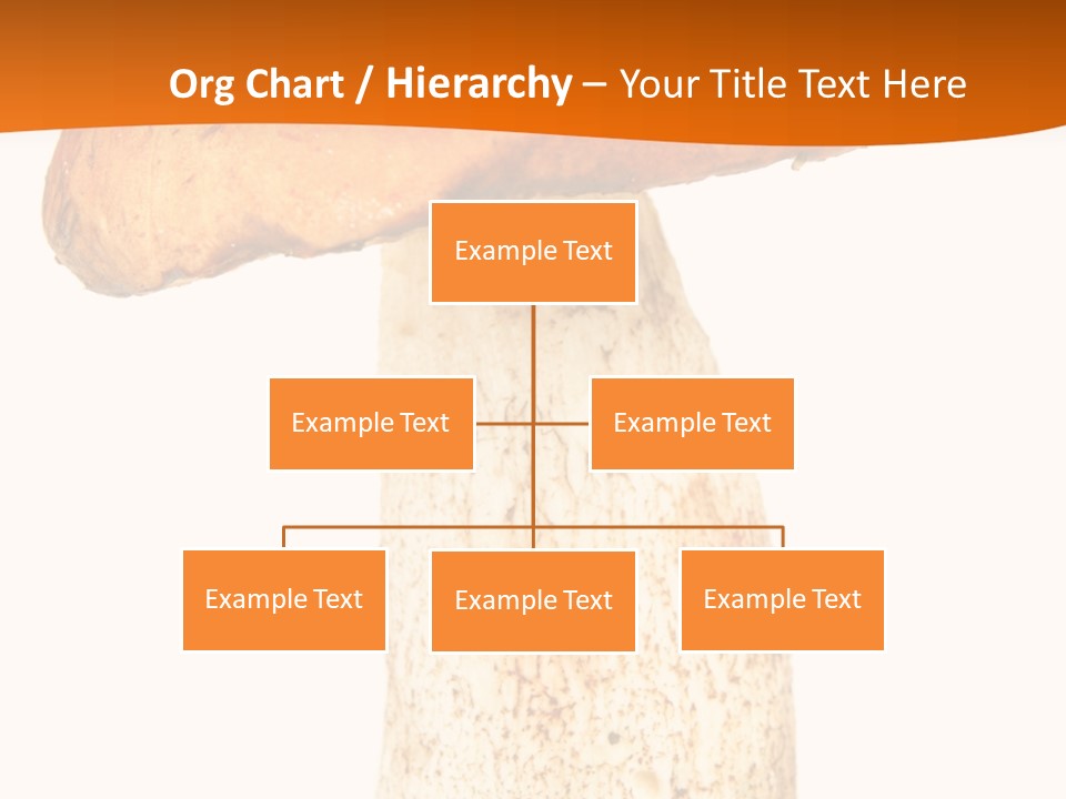 Leaf Red Nobody PowerPoint Template