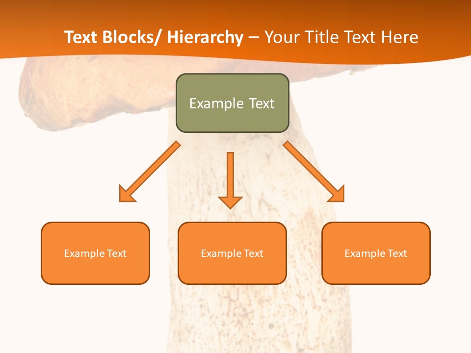 Leaf Red Nobody PowerPoint Template