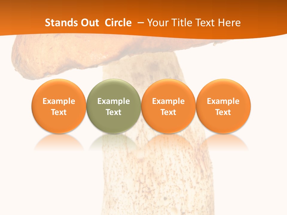 Leaf Red Nobody PowerPoint Template