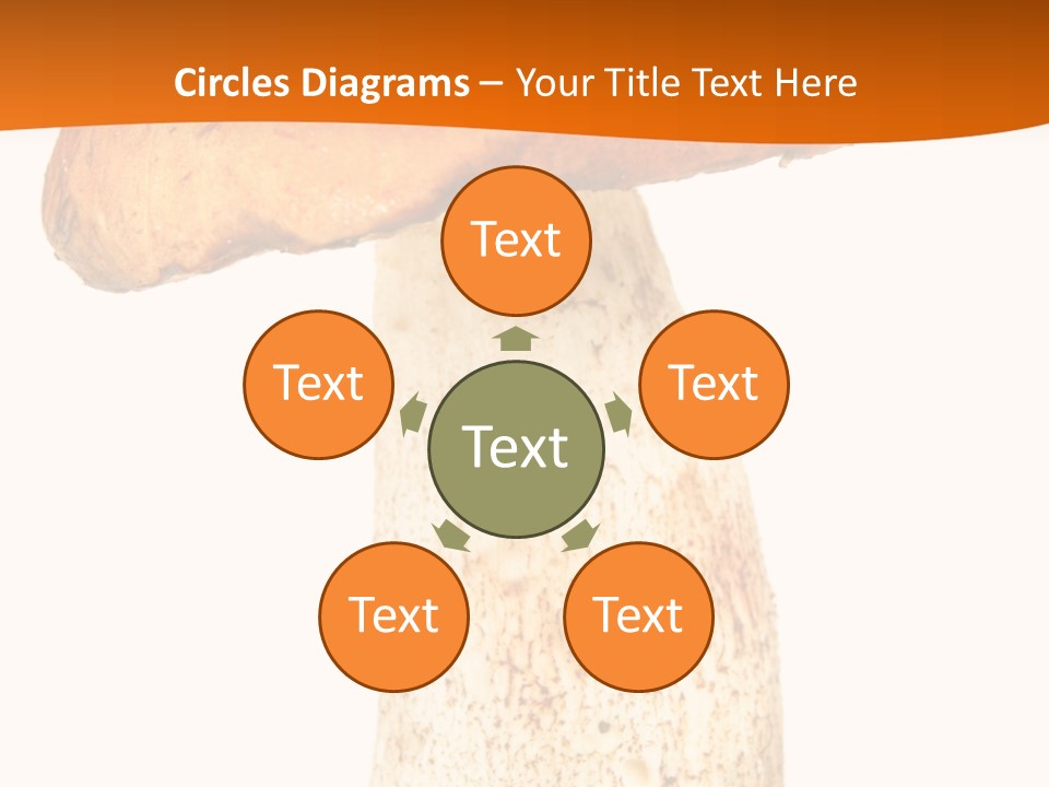 Leaf Red Nobody PowerPoint Template