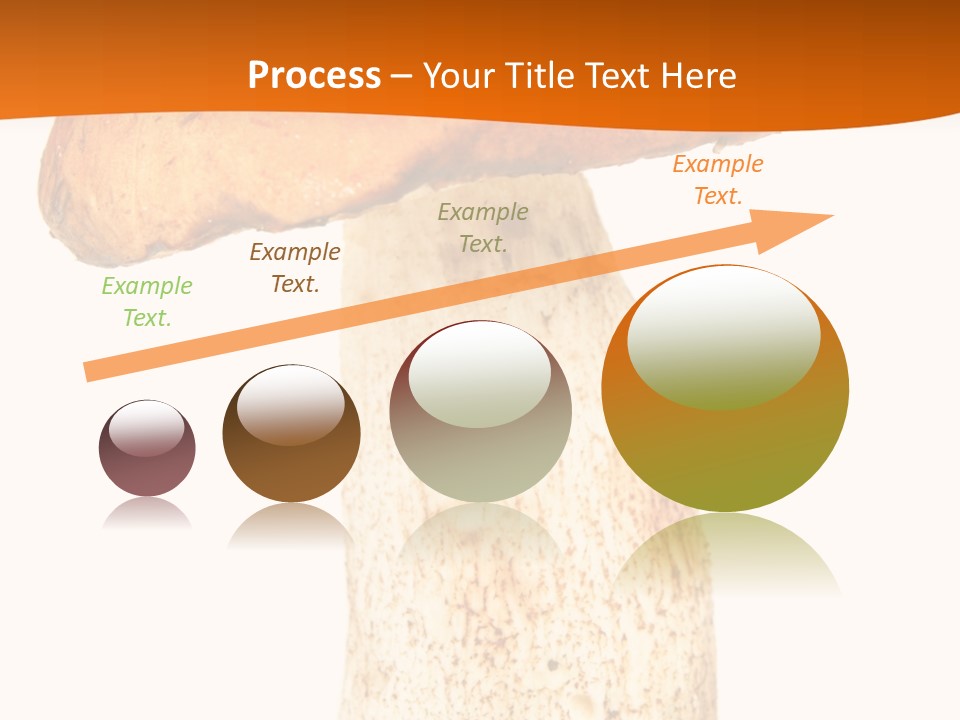 Leaf Red Nobody PowerPoint Template