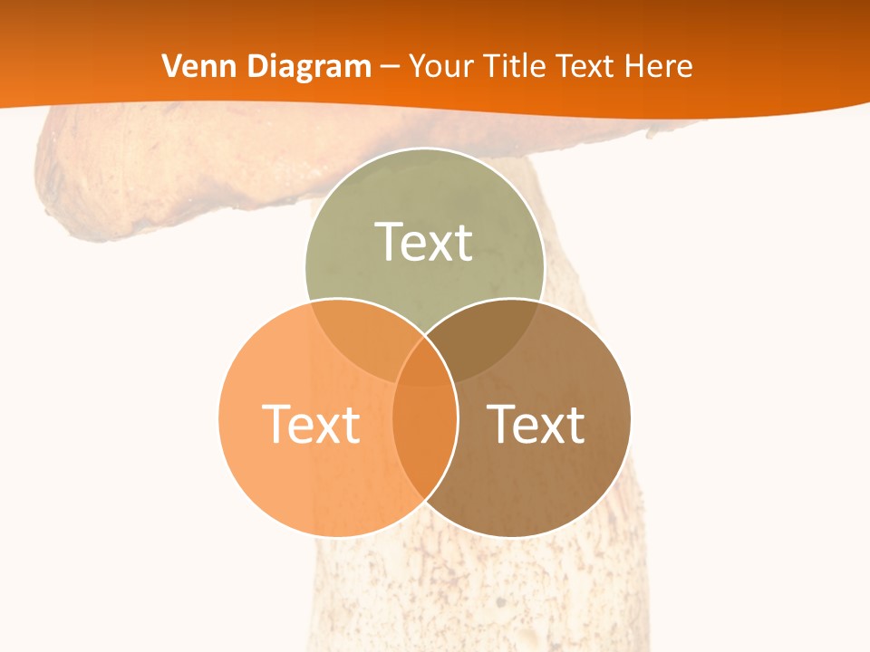 Leaf Red Nobody PowerPoint Template