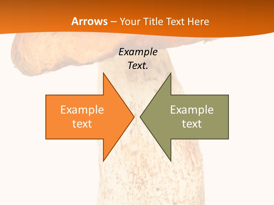 Leaf Red Nobody PowerPoint Template