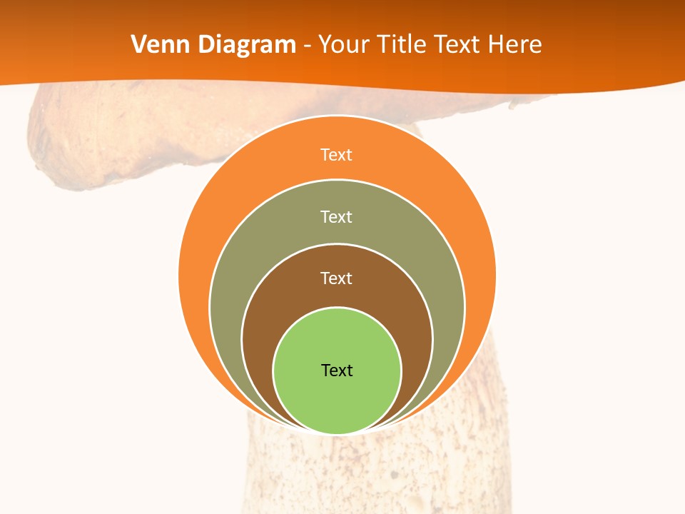 Leaf Red Nobody PowerPoint Template