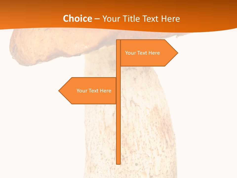 Leaf Red Nobody PowerPoint Template