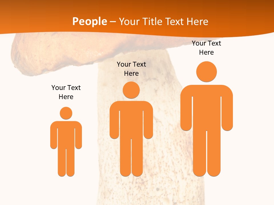 Leaf Red Nobody PowerPoint Template