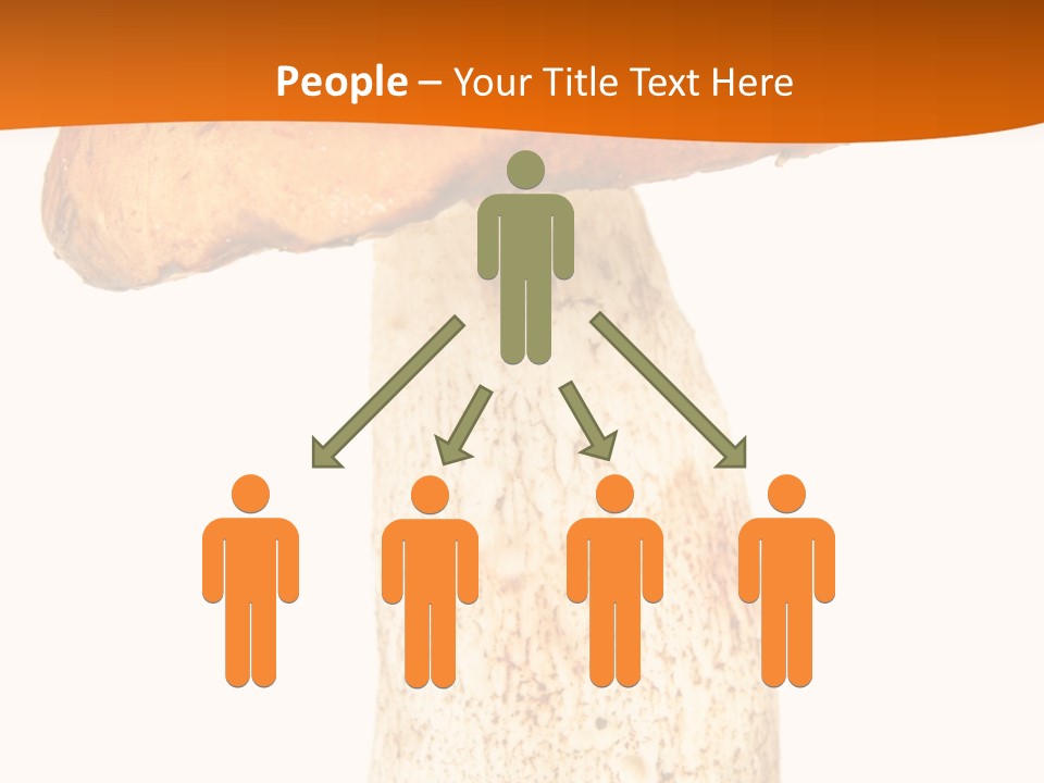 Leaf Red Nobody PowerPoint Template