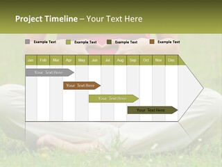 Expecting Forest Tree PowerPoint Template