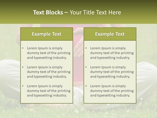 Expecting Forest Tree PowerPoint Template