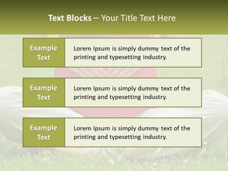 Expecting Forest Tree PowerPoint Template