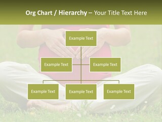 Expecting Forest Tree PowerPoint Template