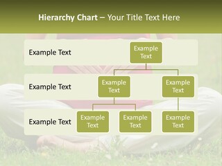 Expecting Forest Tree PowerPoint Template