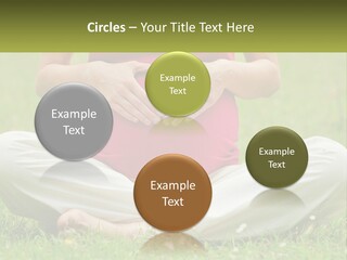 Expecting Forest Tree PowerPoint Template