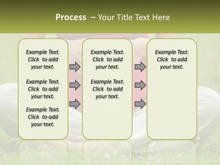 Expecting Forest Tree PowerPoint Template