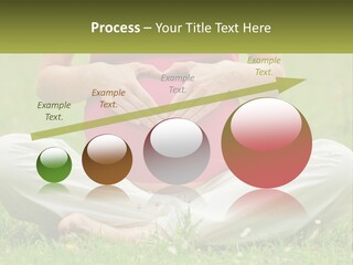 Expecting Forest Tree PowerPoint Template