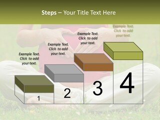 Expecting Forest Tree PowerPoint Template