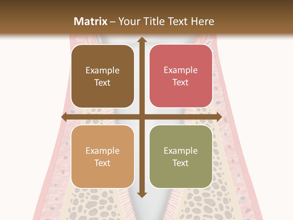 Health Plaque Infection PowerPoint Template