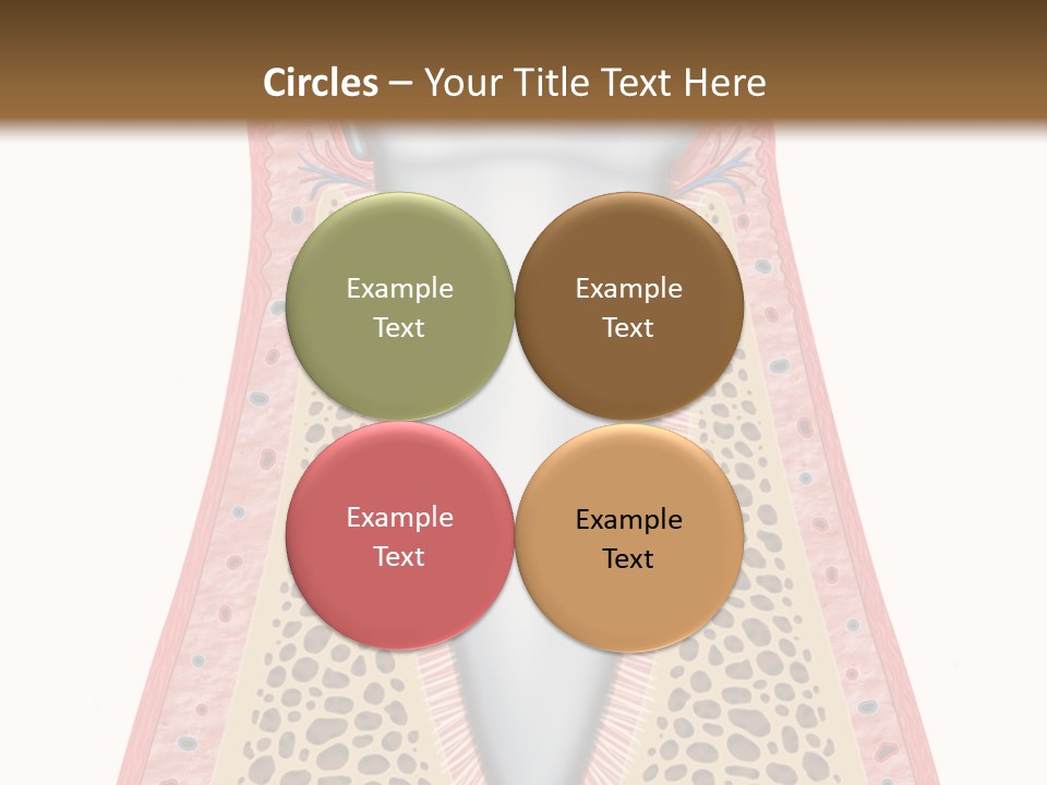 Health Plaque Infection PowerPoint Template