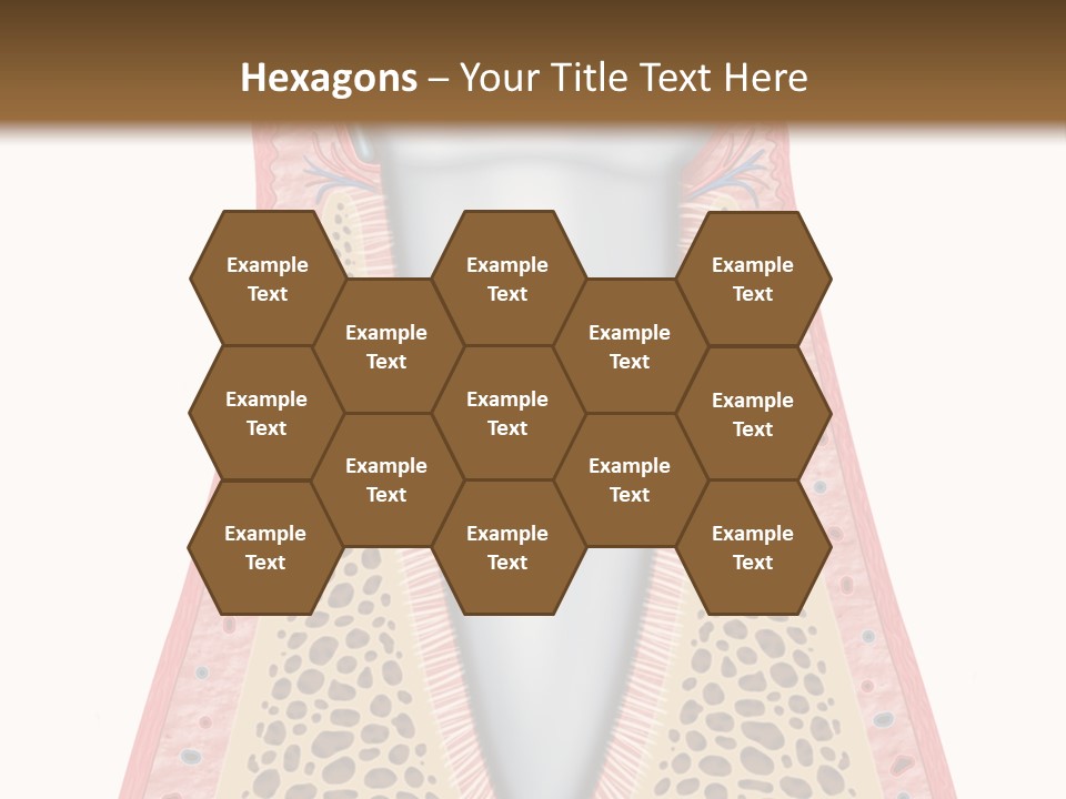 Health Plaque Infection PowerPoint Template
