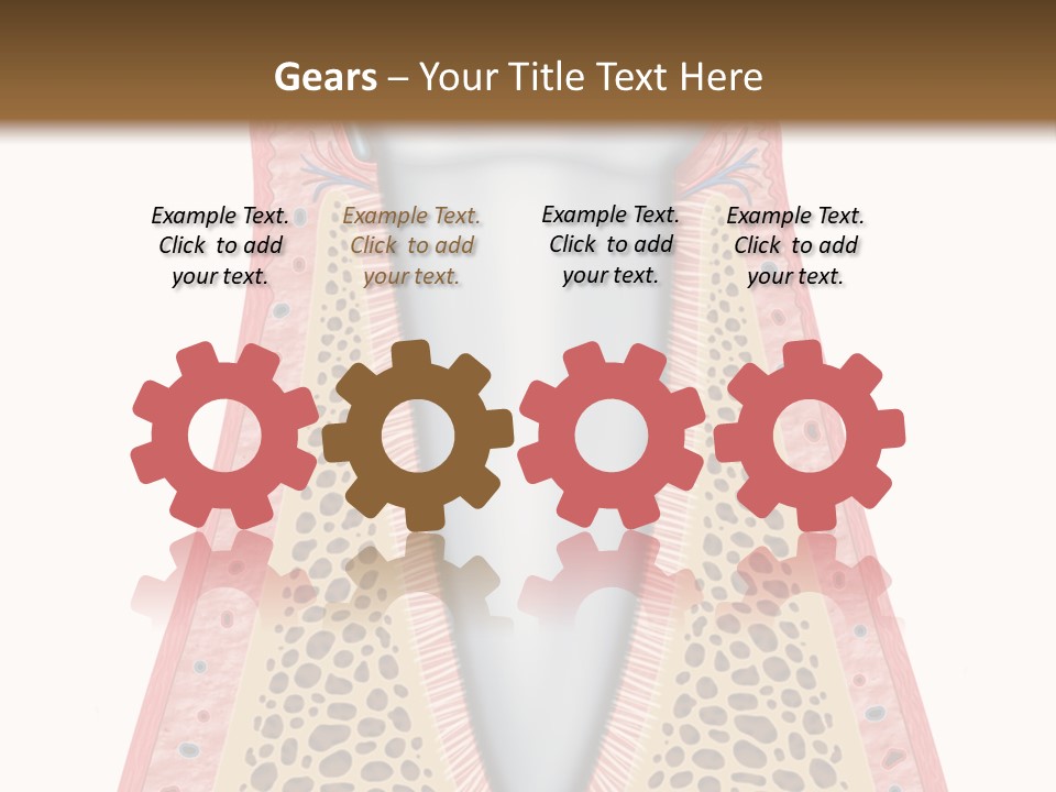 Health Plaque Infection PowerPoint Template