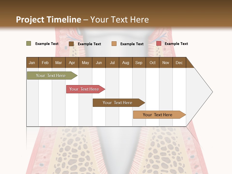 Health Plaque Infection PowerPoint Template
