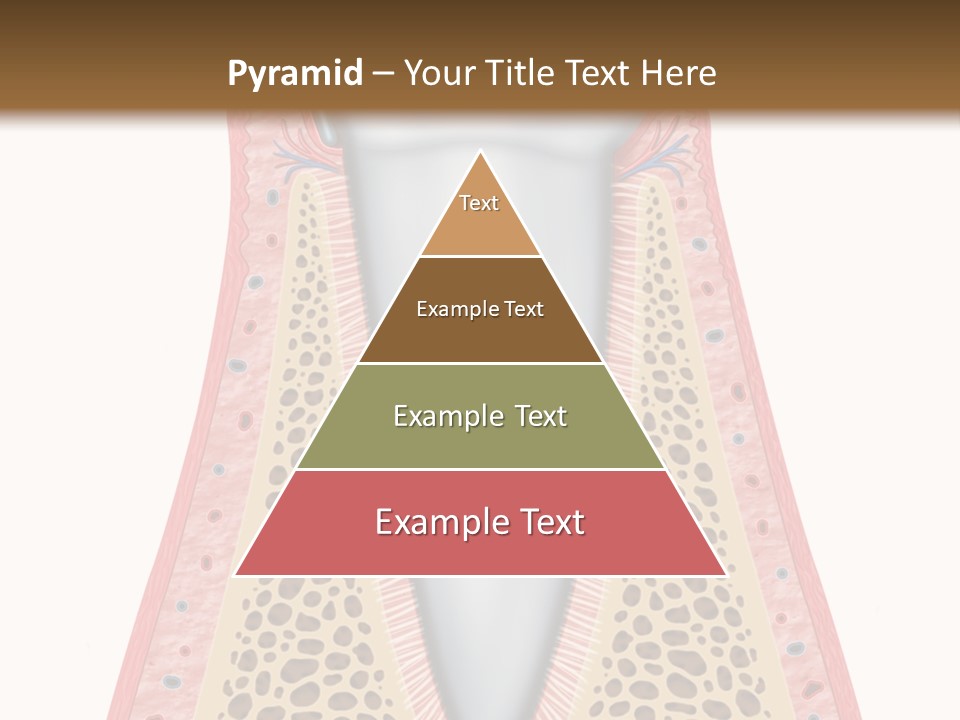 Health Plaque Infection PowerPoint Template